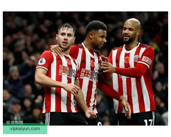 谢菲联转会窗口目标分析，聚焦球队补强策略与潜在引援动向